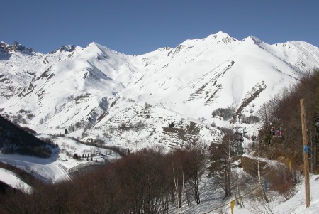 questa foto e DSCN7780 [width450].JPG